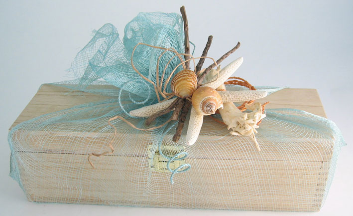 Seashells for gift decoration Seashells for gift decoration