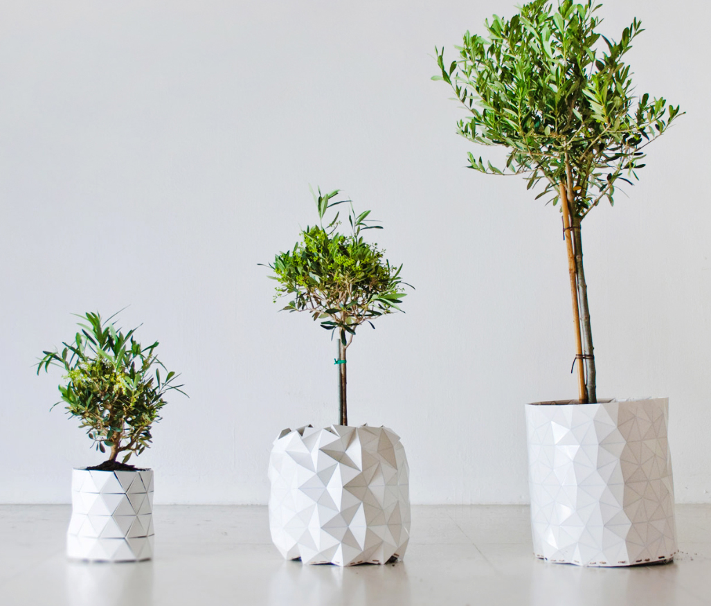 Growth pot by Studio Ayaskan Growth pot by Studio Ayaskan