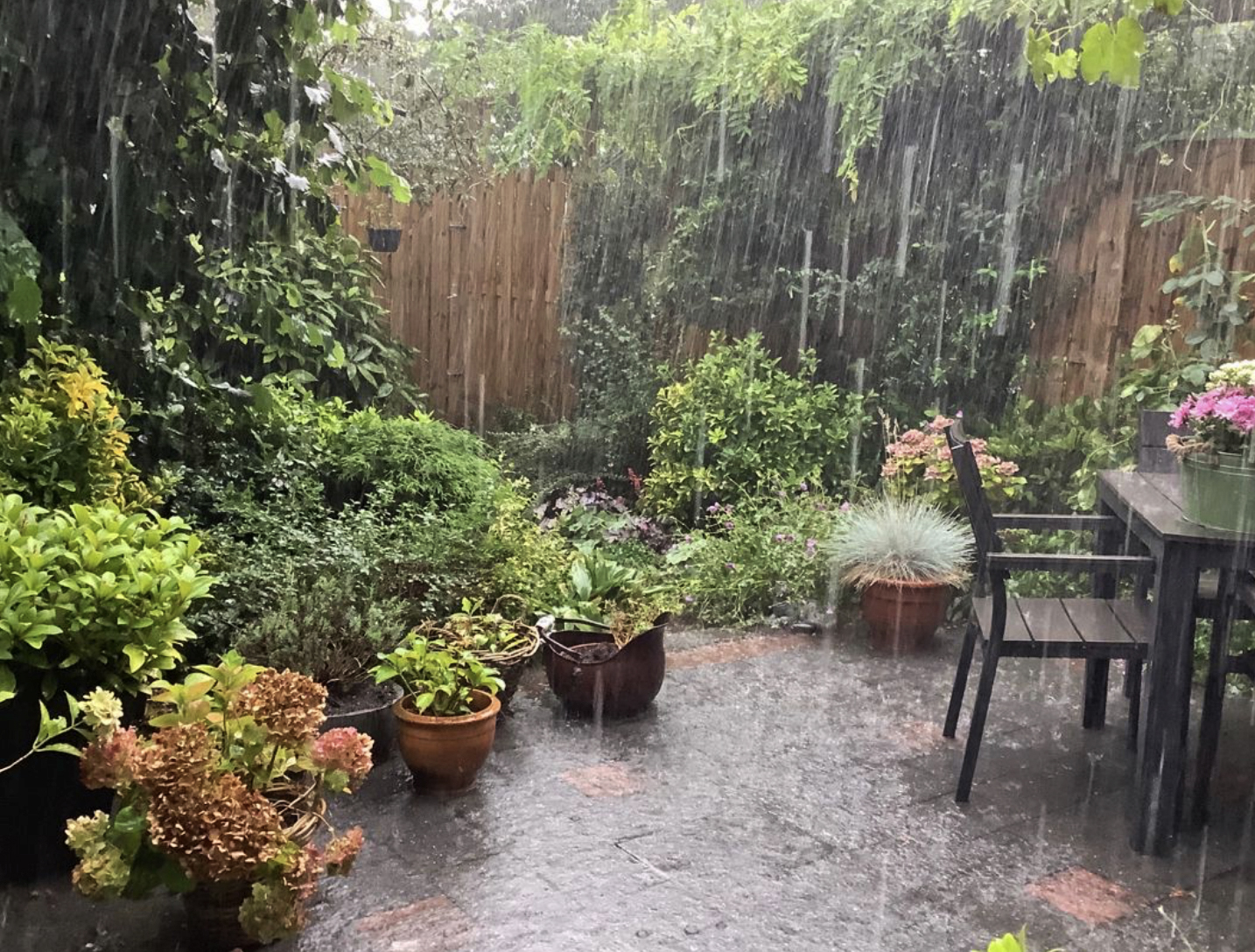 Start collecting rainwater ..it's a precious resource Start collecting rainwater ..it's a precious resource