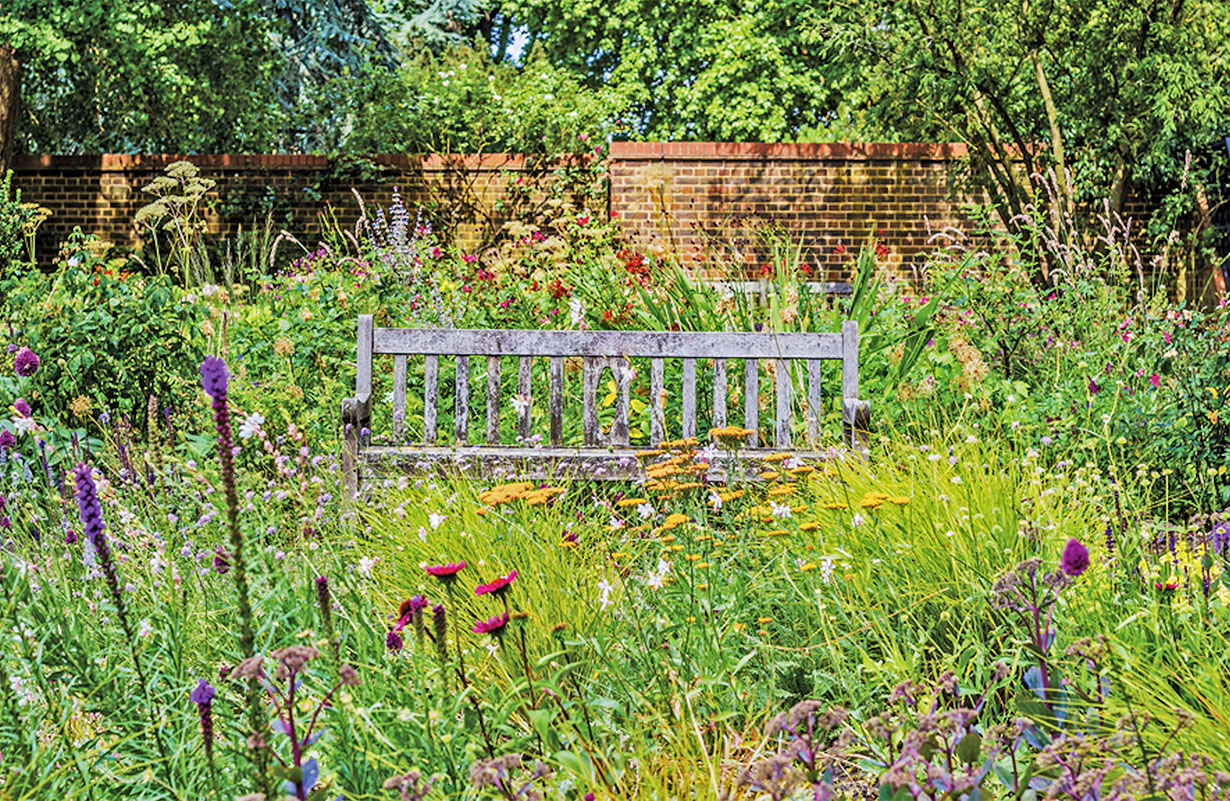 Dobbies garden full of Meadowmat flowers