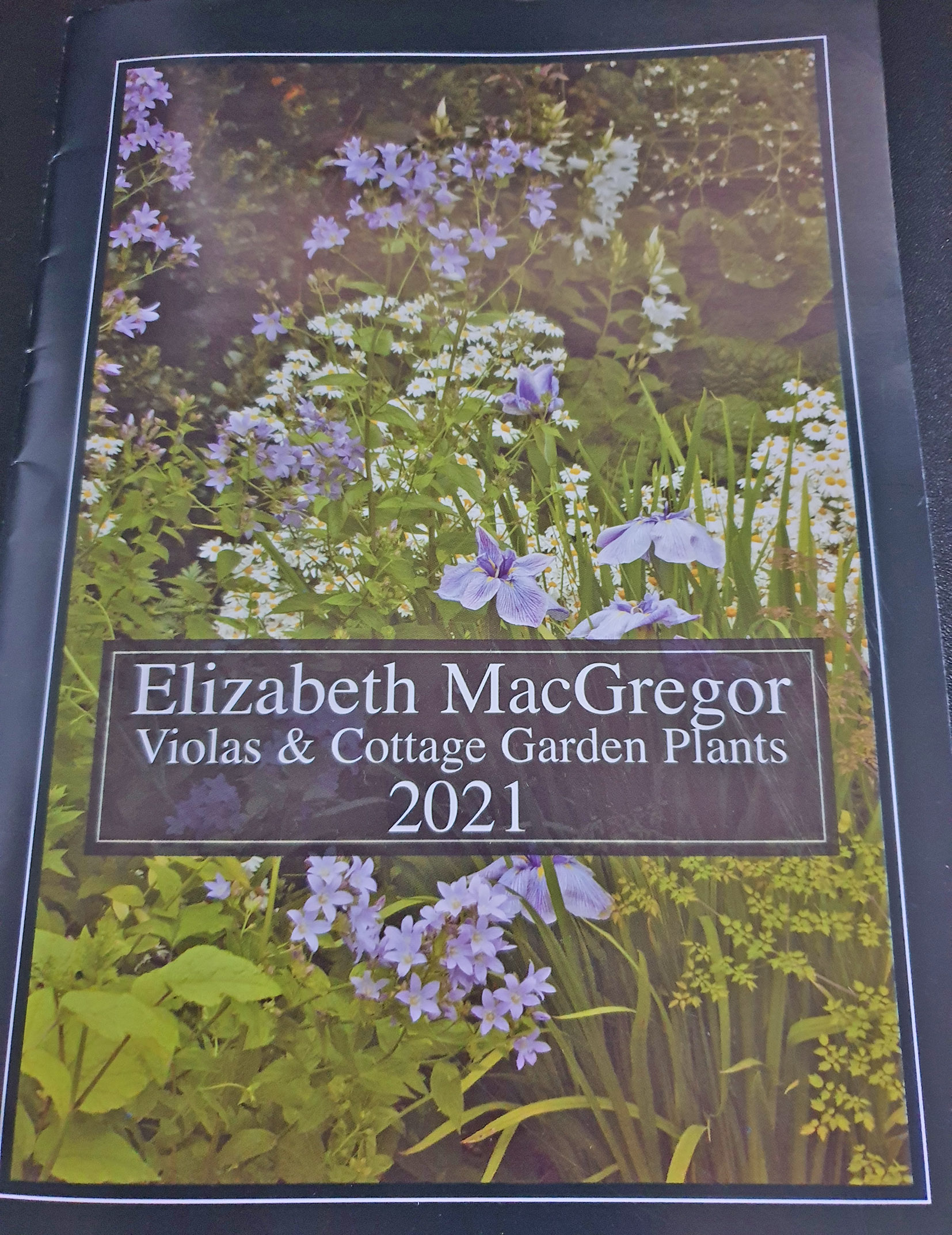 Elizabeth Macgregor Nursery