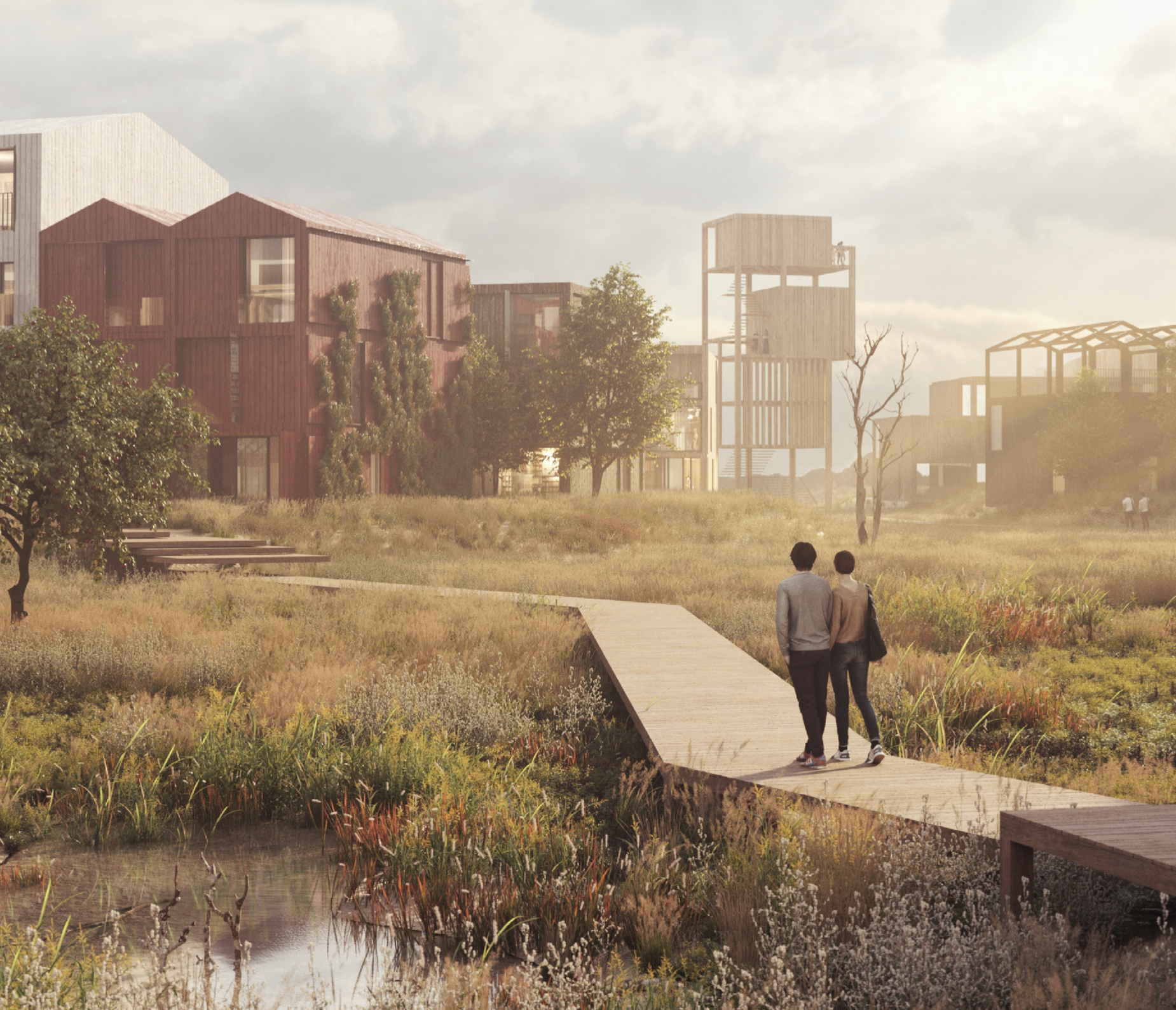 More of us will want to live in rural areas More of us will want to live in rural areas