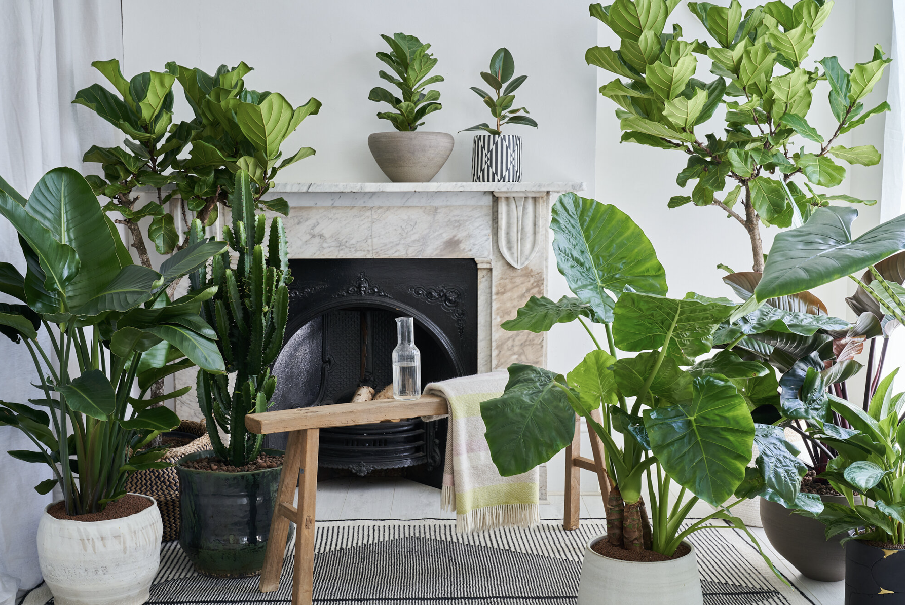 Planted is a new outdoor design event focusing on zero waste Planted is a new outdoor design event focusing on zero waste