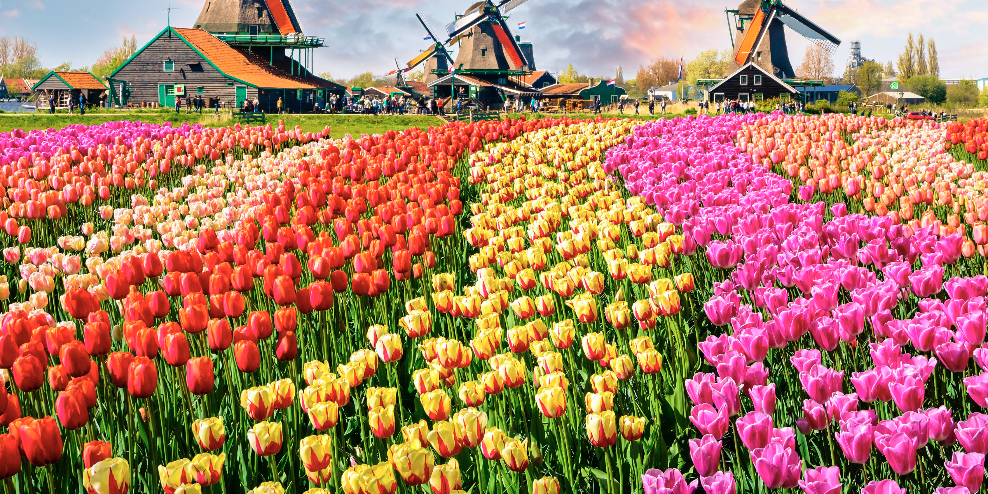 Floriade Exp 2022, tradition and innovation in horticulture Floriade Exp 2022, tradition and innovation in horticulture