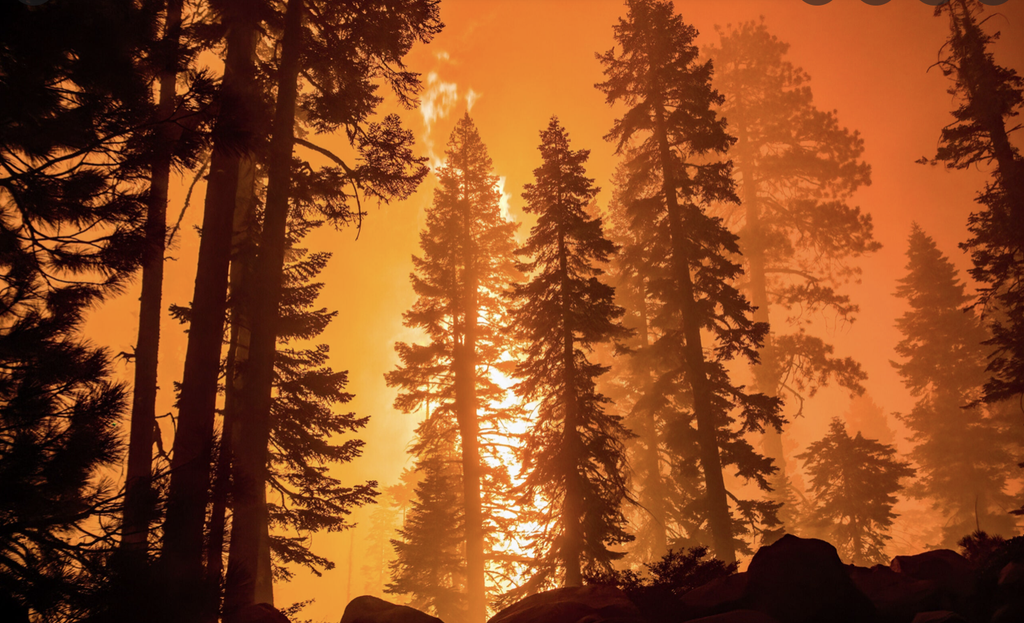 Increased natural disasters stem from climate change Increased natural disasters stem from climate change