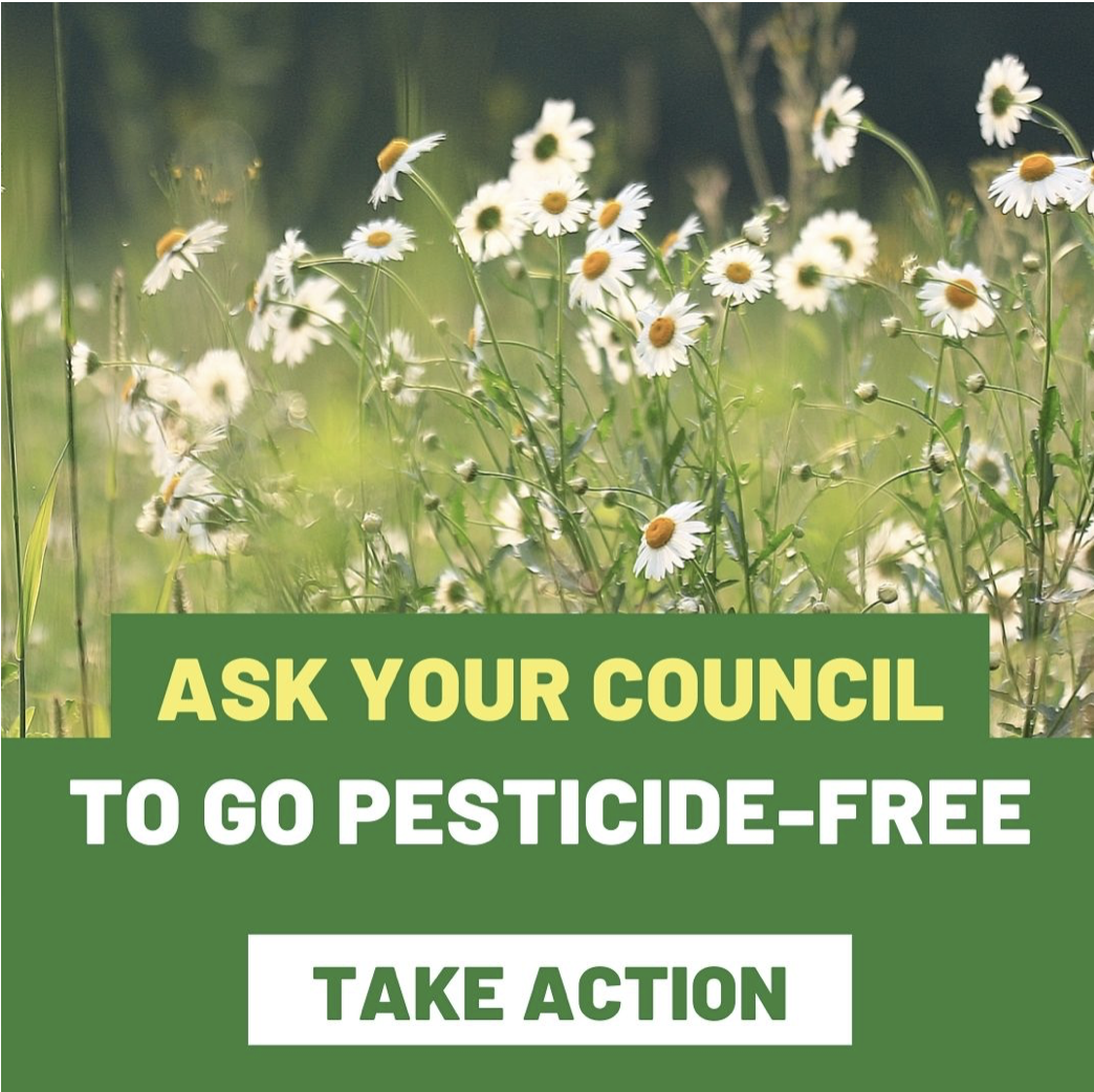 make urban areas in the UK pesticide free make urban areas in the UK pesticide free