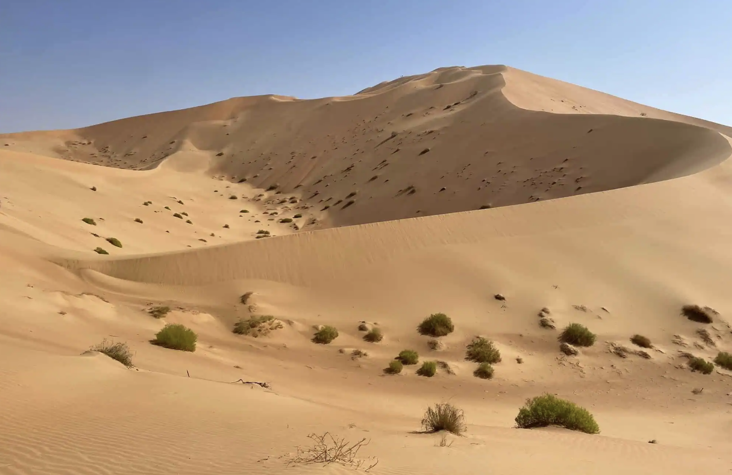 the trip to Oman is to study micro and nano plastic spread the trip to Oman is to study micro and nano plastic spread