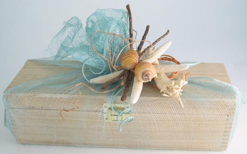Seashells for gift decoration