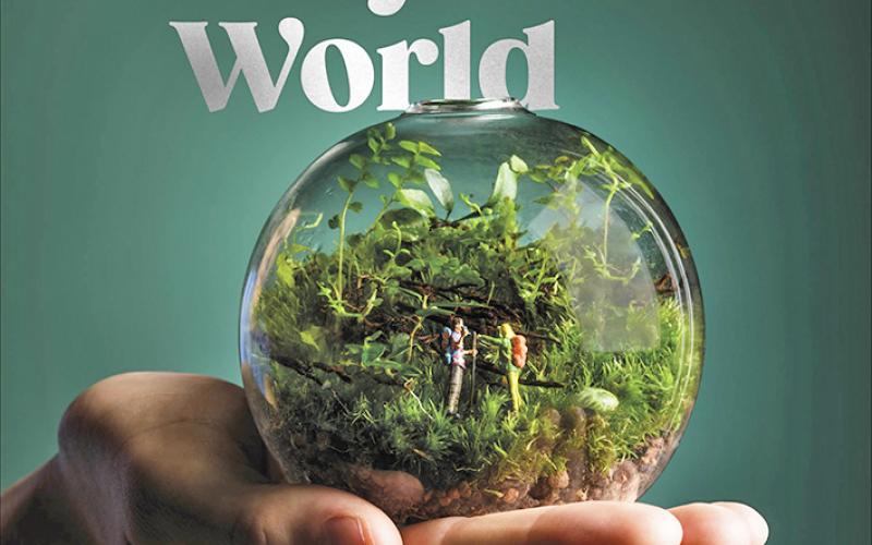 Hello Tiny World by Ben Newell of Worcester Terrariums