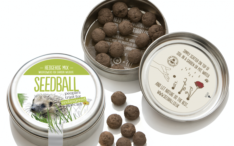 Seedball for hedgehogs