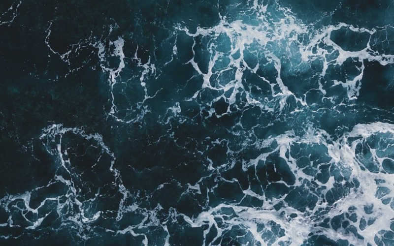 The health of the oceans is key to health of the planet